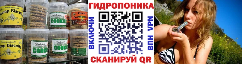 где купить Алзамай Cannafood конопля