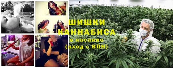 apvp Алексин