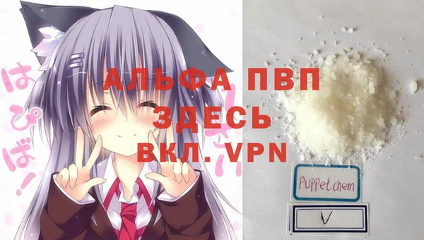 spice Алзамай