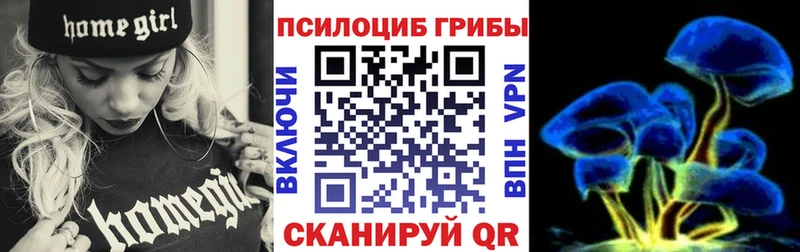 где найти   Алзамай  Псилоцибиновые грибы мицелий 